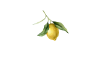 La carte - L’Officina - restaurant NIMES